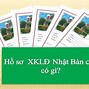 Cách Ghi Hồ Sơ Đi Nhật Bao Gồm Những Gì